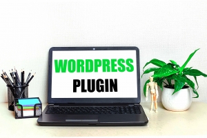 Must-Have WordPress Plugins for Developers in 2024